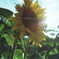 PICT0004