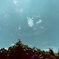 PICT0006