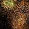 DSC01023
