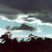 PICT0007