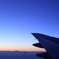 日本の空