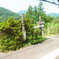 飯田線の秘境小和田駅