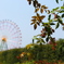 photo_2724569