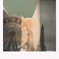 Landscape Collage