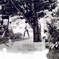 観光地