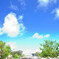白い道と青い空
