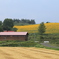 IMG_9907