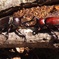 カブトムシ