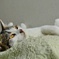 寝起き顔