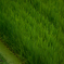 photo_2730795