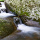 photo_2730825