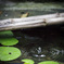 _MG_2960-2