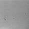 000334520012