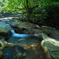 photo_2732029