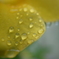 R0018952_2638