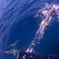 P8160379