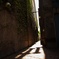 路地