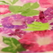 花便り　- 水盤の華やぎ -