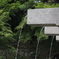 清水の音羽の滝