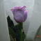 DSCN0022
