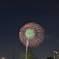 二子多摩川花火１