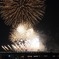 たまがわ花火大会