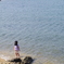 海