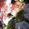 image2164361