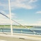 橋の上