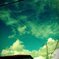 summer sky