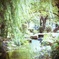 公園