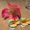 CSC_0502