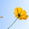 上向き