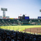 甲子園　2013夏