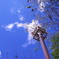 2009年夏の終わり
