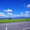 photo_2747684