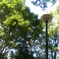 IMAG02281