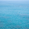 IMGP5014-2