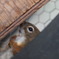 ちょっとだけ