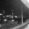 P8271197