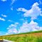 今日の空