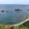 海