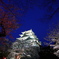 名古屋城