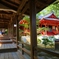 大覚寺