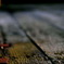 Rust and Wood