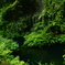 池
