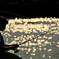 TWINCLE  FISHING