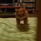 とつげき～！！！Σ(o>艸<o)