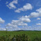 秋の空