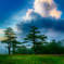 Clouds which shine 